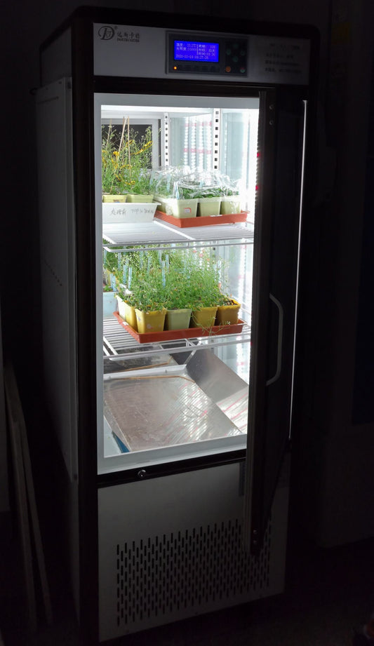 300Liter Full-Automatic Illumination Incubator SD-P300