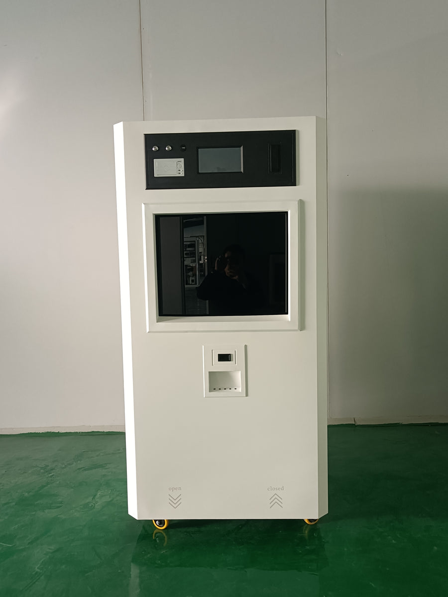 Delivered Order to UK Customer for New Updated Low Temperature Plasma Sterilizer