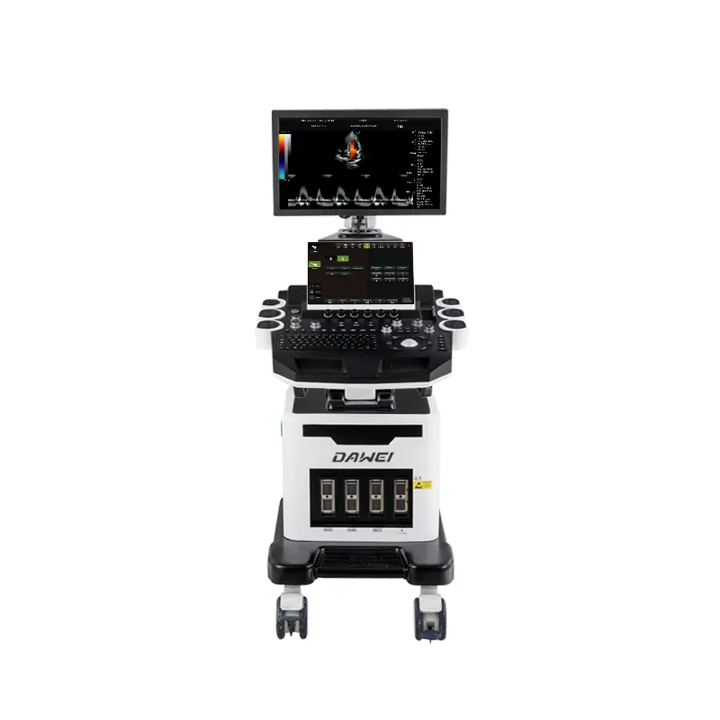 3D/4D Echo Cardiovascular Digital Color Doppler Ultrasound for Cardiology SD-T8