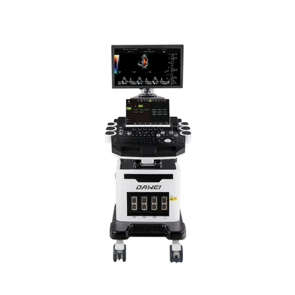3D/4D Echo Cardiovascular Digital Color Doppler Ultrasound for Cardiology SD-T8