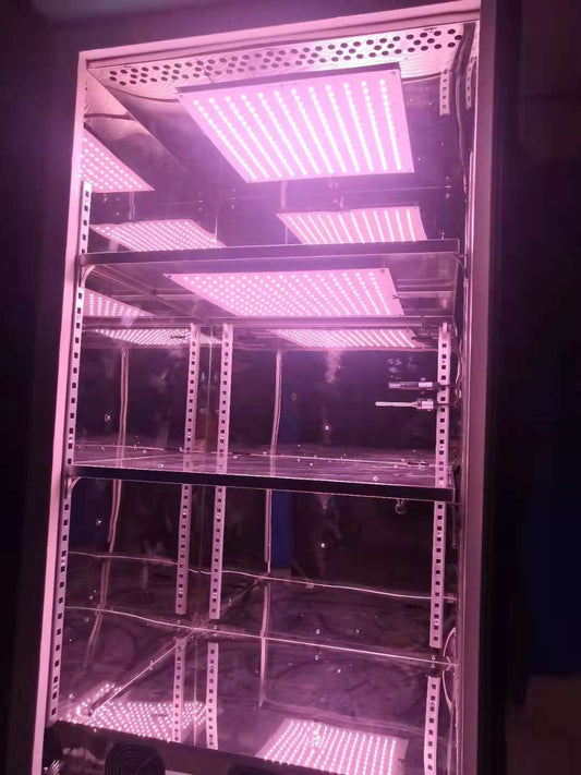 SD-P160 160л Низкотемпературный инкубатор со светодиодной подсветкой