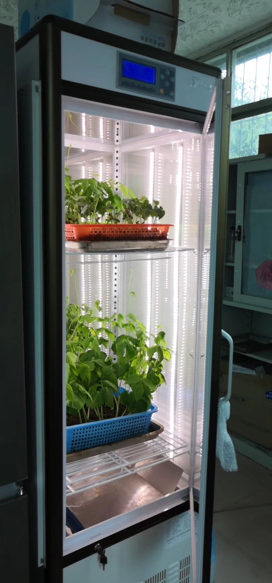 Controlador LCD de incubadora de iluminación ambiental SD-P800 de 800 litros